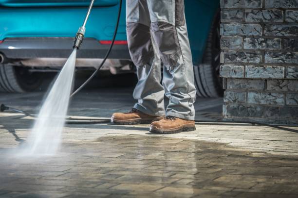 Best Warehouse Cleaning  in Pigeon, MI