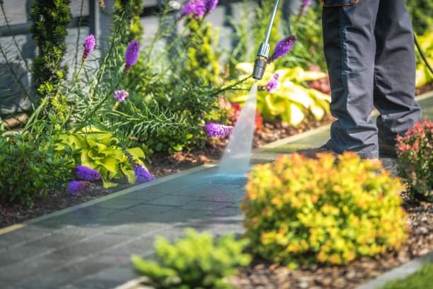 Best Patio and Deck Pressure Washing  in Pigeon, MI