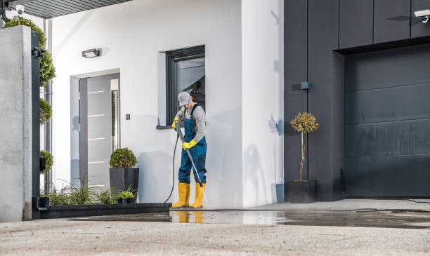 Best Gutter Cleaning  in Pigeon, MI